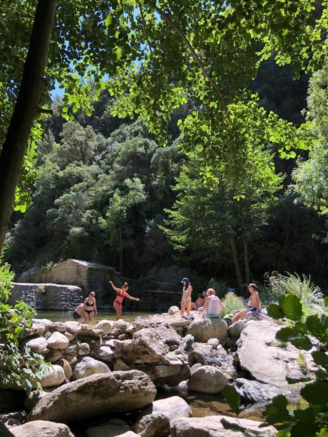 Villa Bonheur Vallespir เซเรต์ ภายนอก รูปภาพ